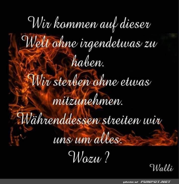 Gute Frage