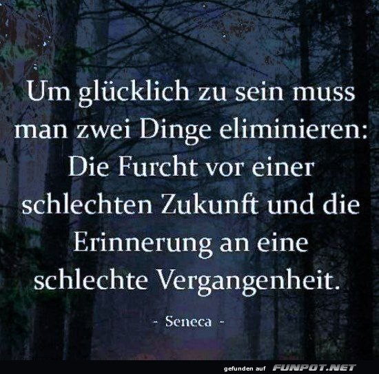 Um glcklich zu sein