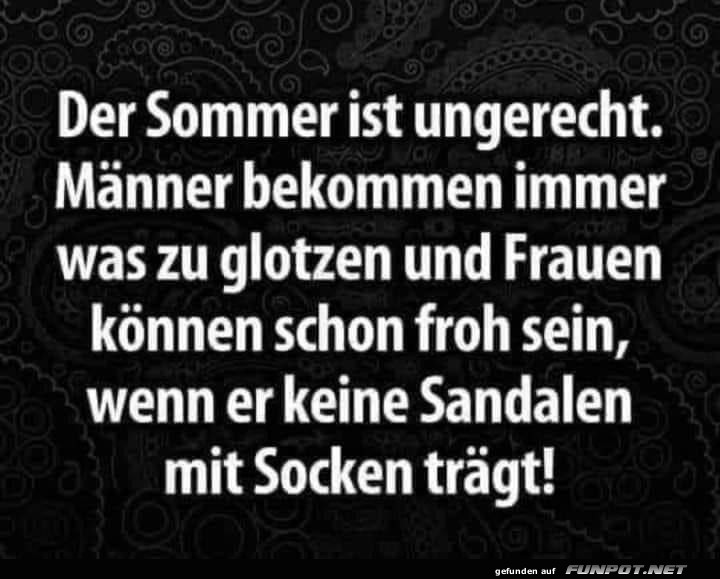 Der Sommer Der Sommer