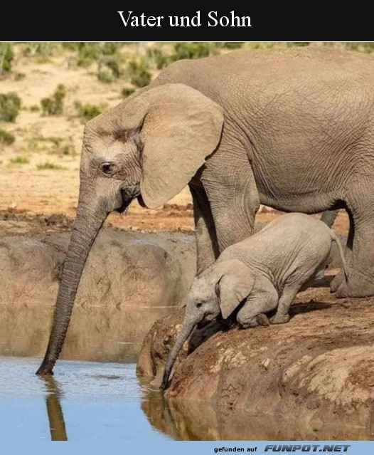 Vater und Sohn Vater und Sohn