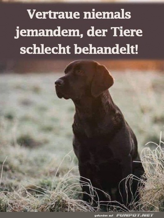 Guter Rat Guter Rat