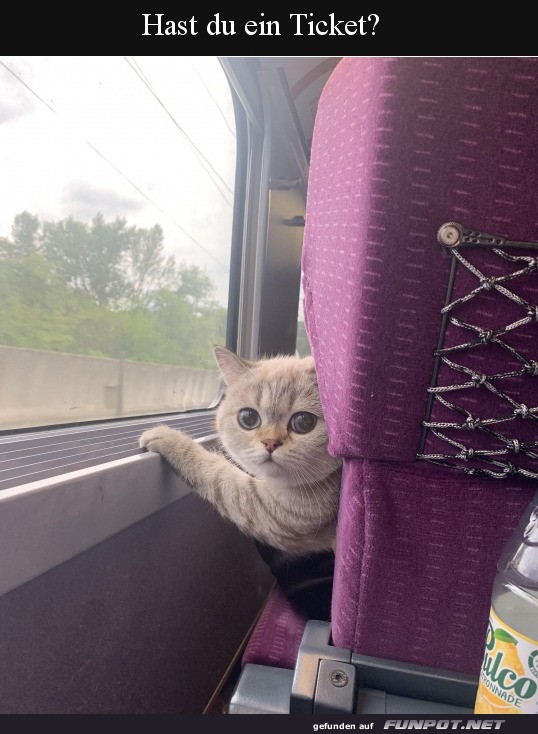Hast du ein Ticket? Hast du ein Ticket?