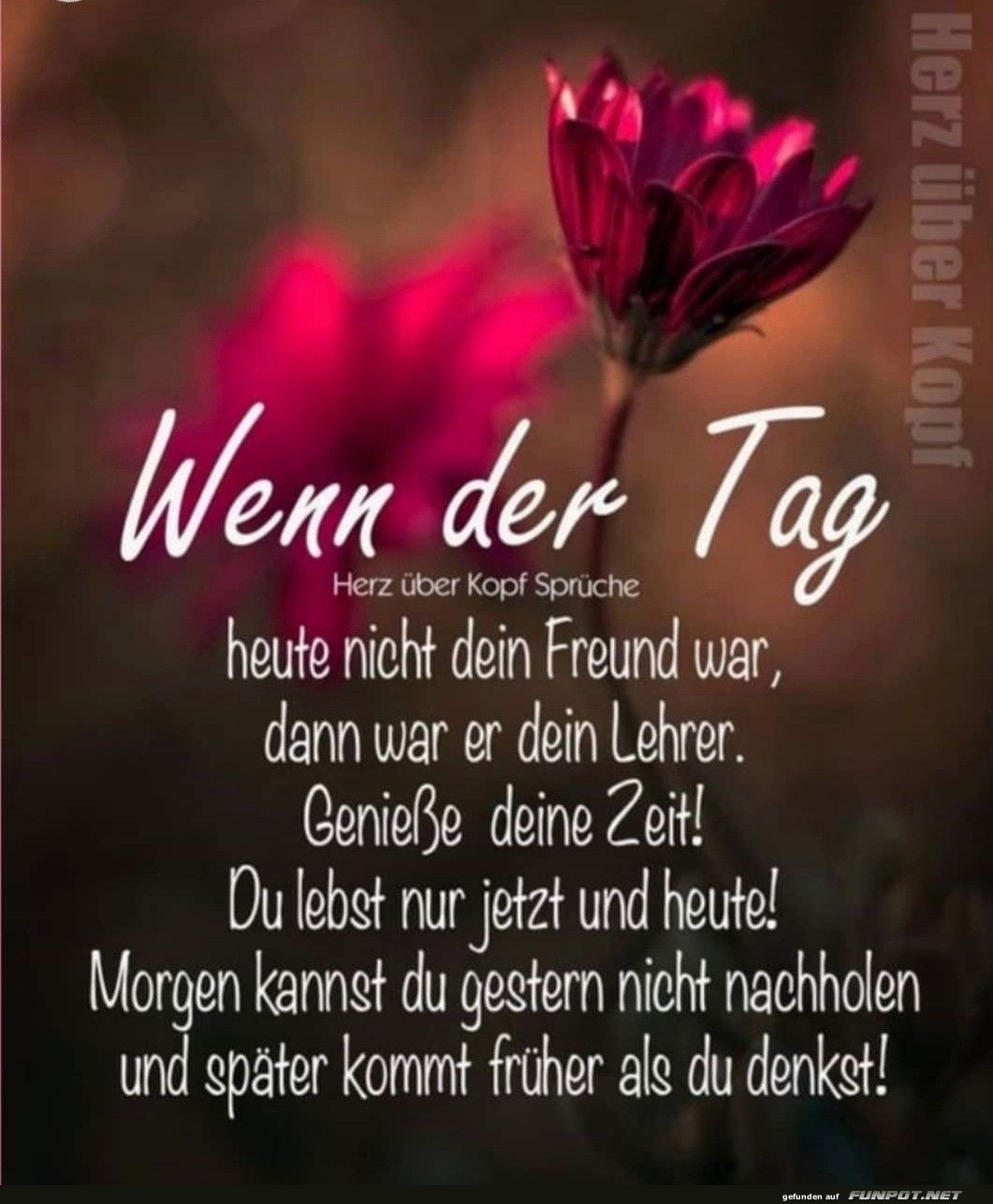 Wenn der Tag heute nicht dein Freund war Wenn der Tag heute nicht dein Freund war