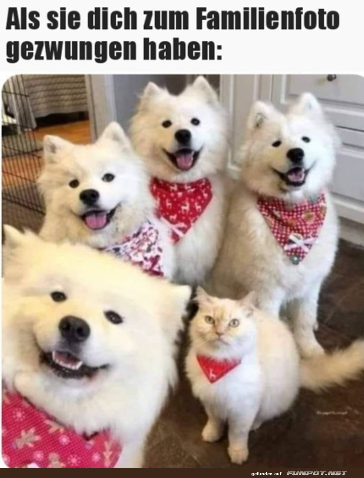 Aufs Foto gezwungen Aufs Foto gezwungen