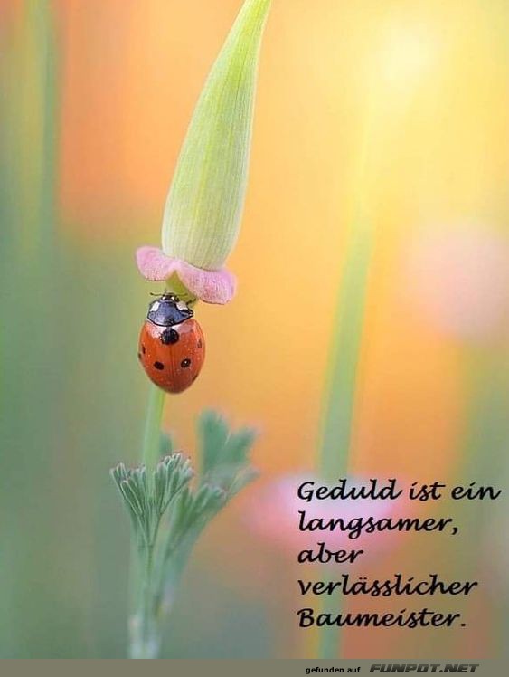 Geduld ist