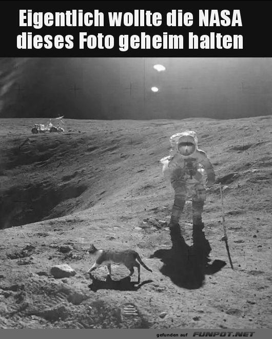 witzige Bilder aus verschiedenen Blogs