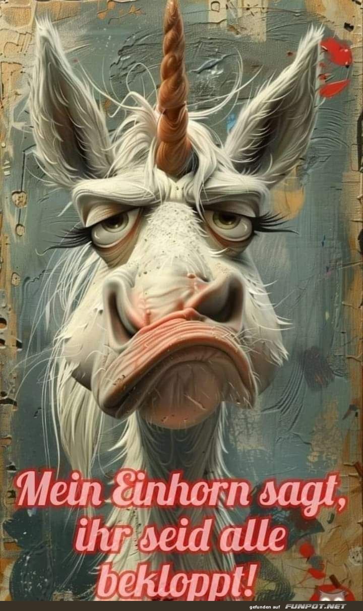 Mein Einhorn Mein Einhorn