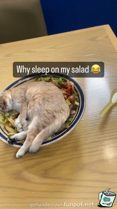 Schlafen im Salat