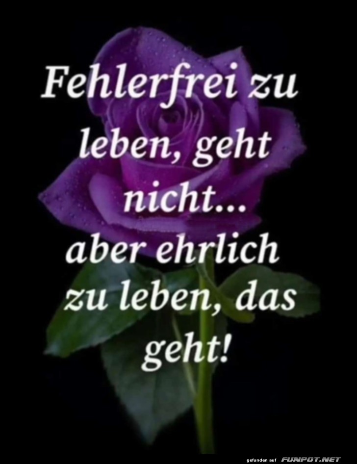 Ehrlich leben Ehrlich leben