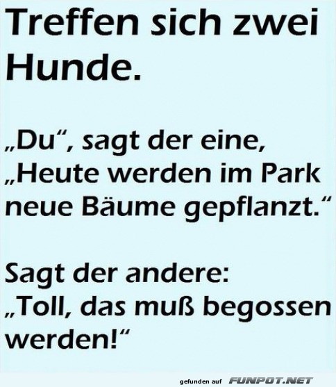 Treffen sich zwei Hunde Treffen sich zwei Hunde
