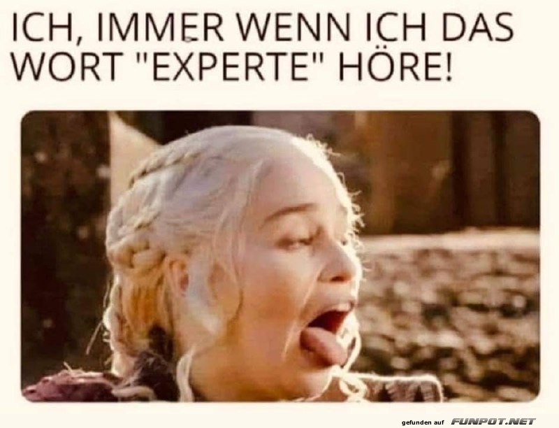 Experte Experte