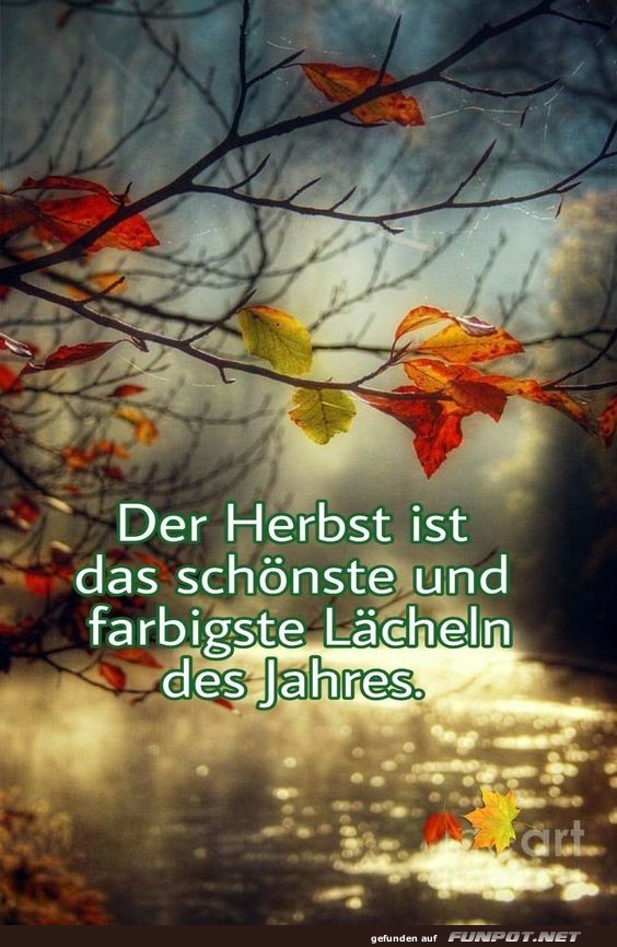 Der Herbst ist das allerschnste