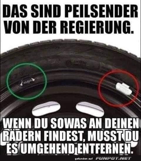 Peilsender Peilsender