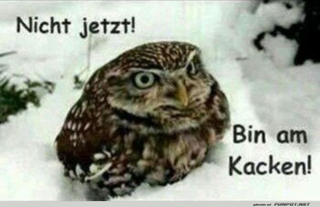 Nicht jetzt Nicht jetzt