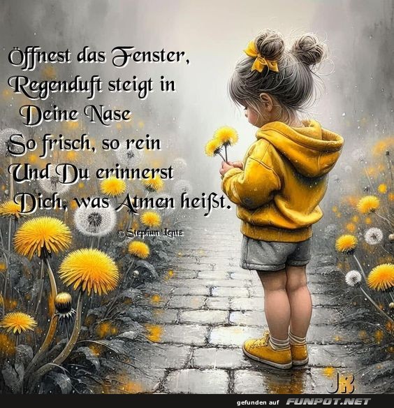 ffnest das Fenster
