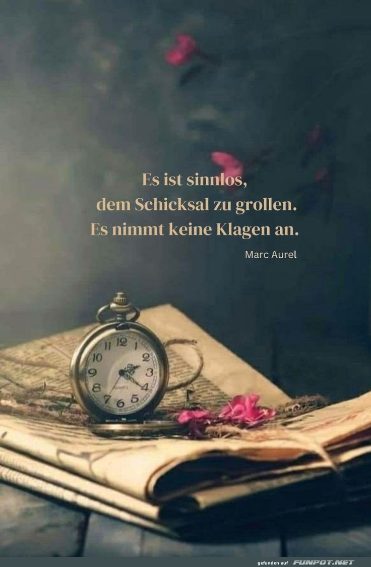Es ist Sinnlos Es ist Sinnlos