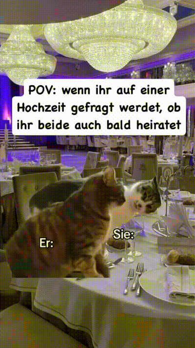 Na? Na?