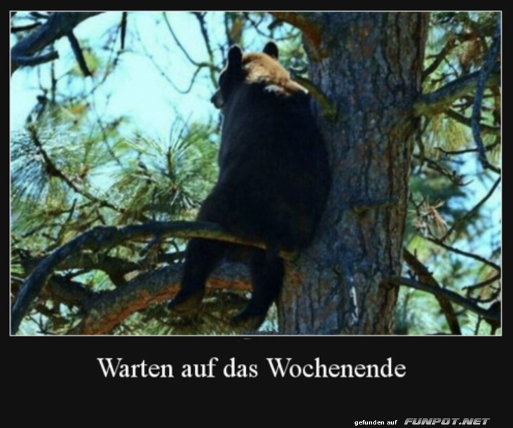 Warten aufs Wochenende Warten aufs Wochenende