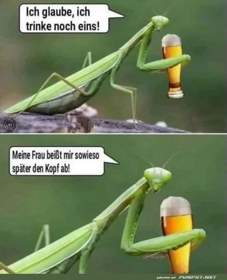 Ich trink noch eins Ich trink noch eins