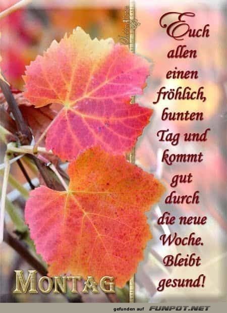 Euch allen einen frhlich bunten Tag