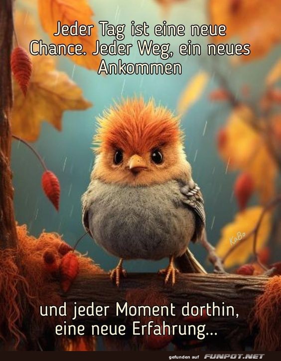 Jeder Tag ist eine neue Chance