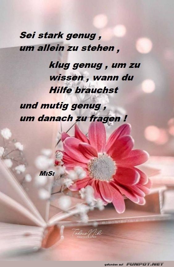 Sei stark genug Sei stark genug