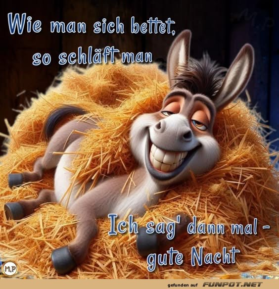 Wie man sich bettet Wie man sich bettet