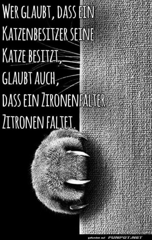 Wer das glaubt