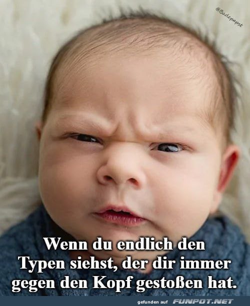 Grimmiger Blick Grimmiger Blick