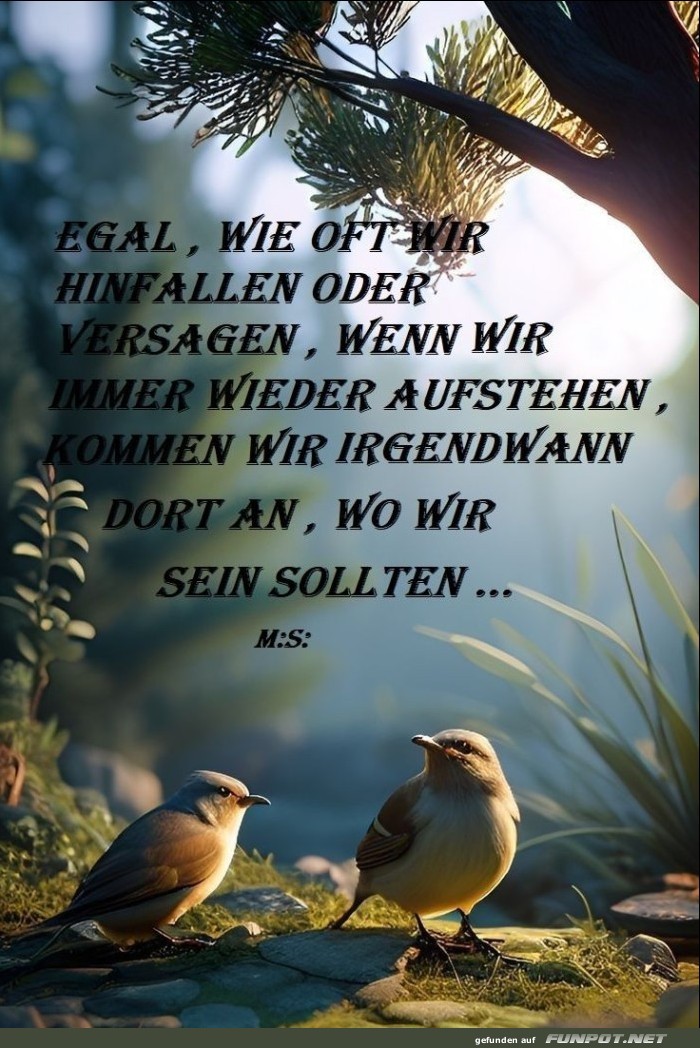 Egal wie oft wir hinfallen Egal wie oft wir hinfallen