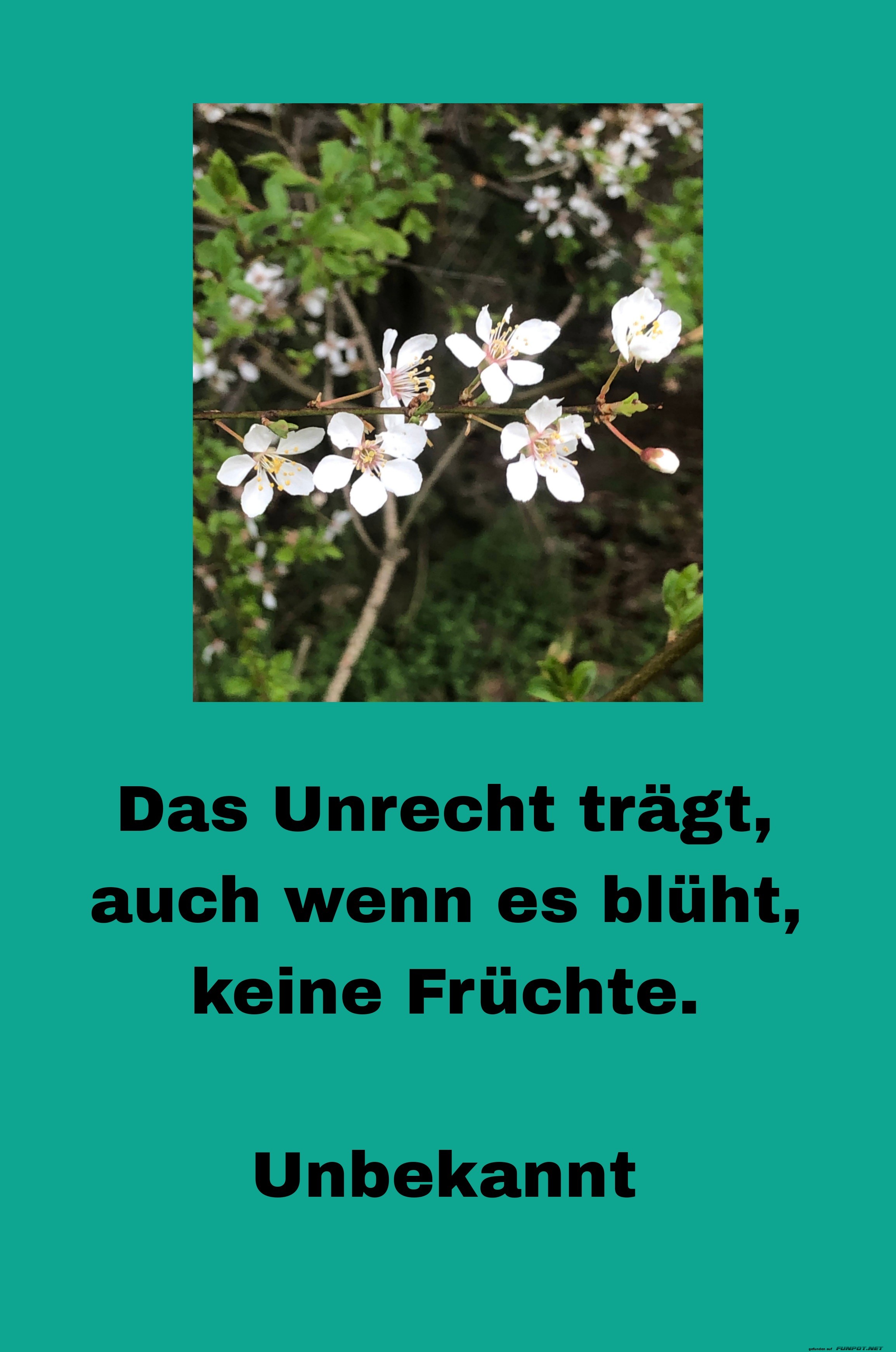 das unrecht trägt das unrecht trägt