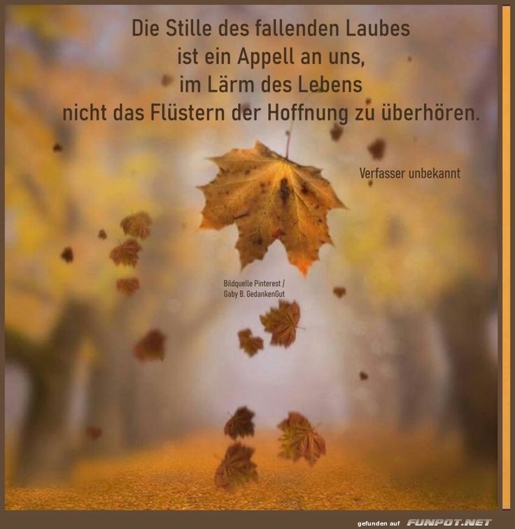 Die Stille des fallendes Laubes Die Stille des fallendes Laubes