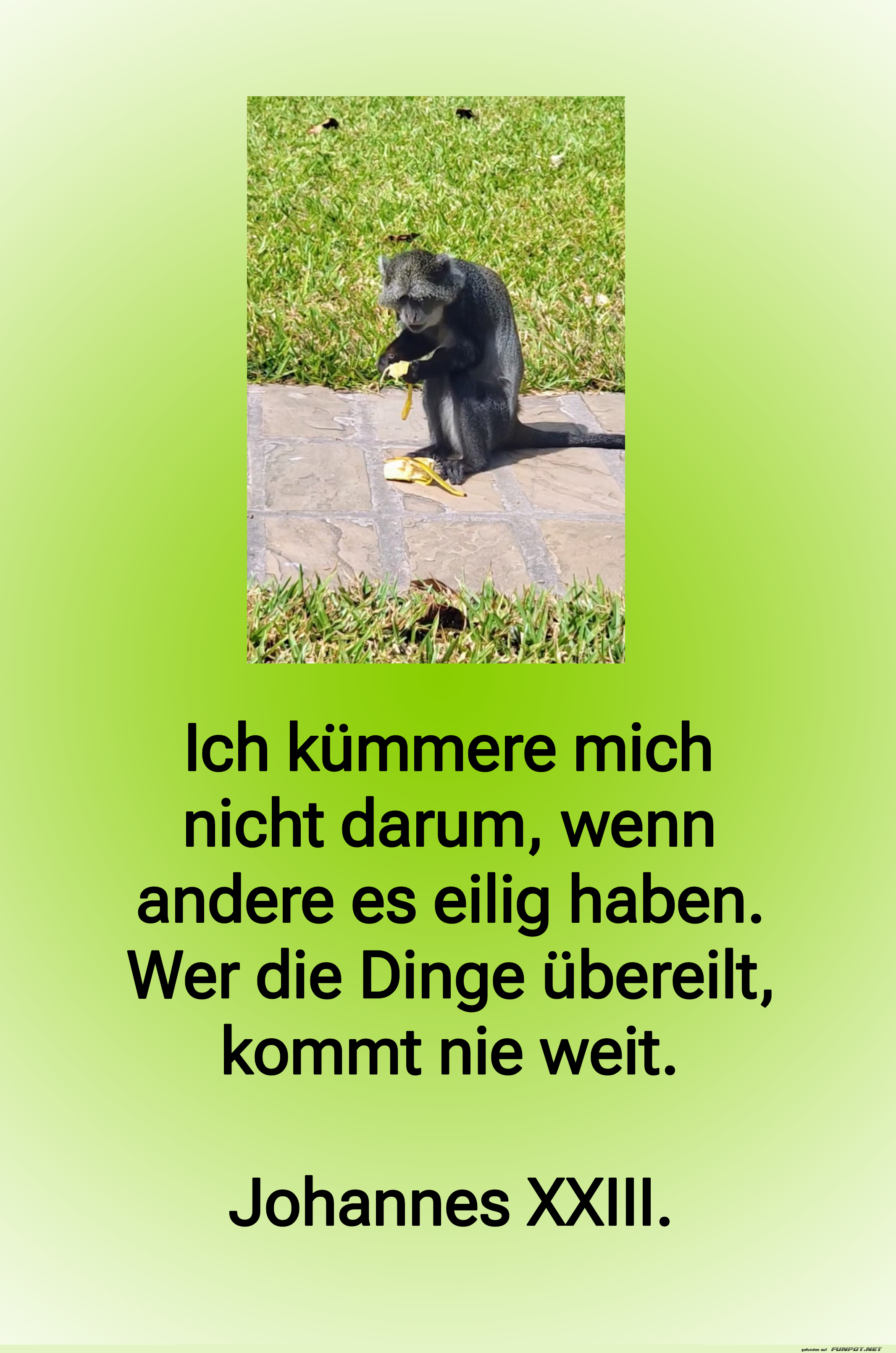 10 schne Sprche und Lebensweisheiten aus...