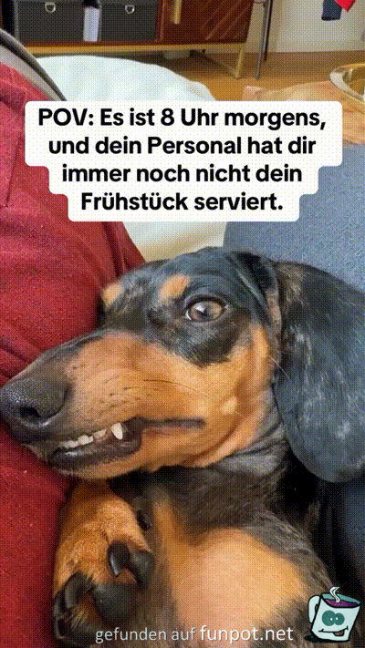Noch kein Frhstck bekommen