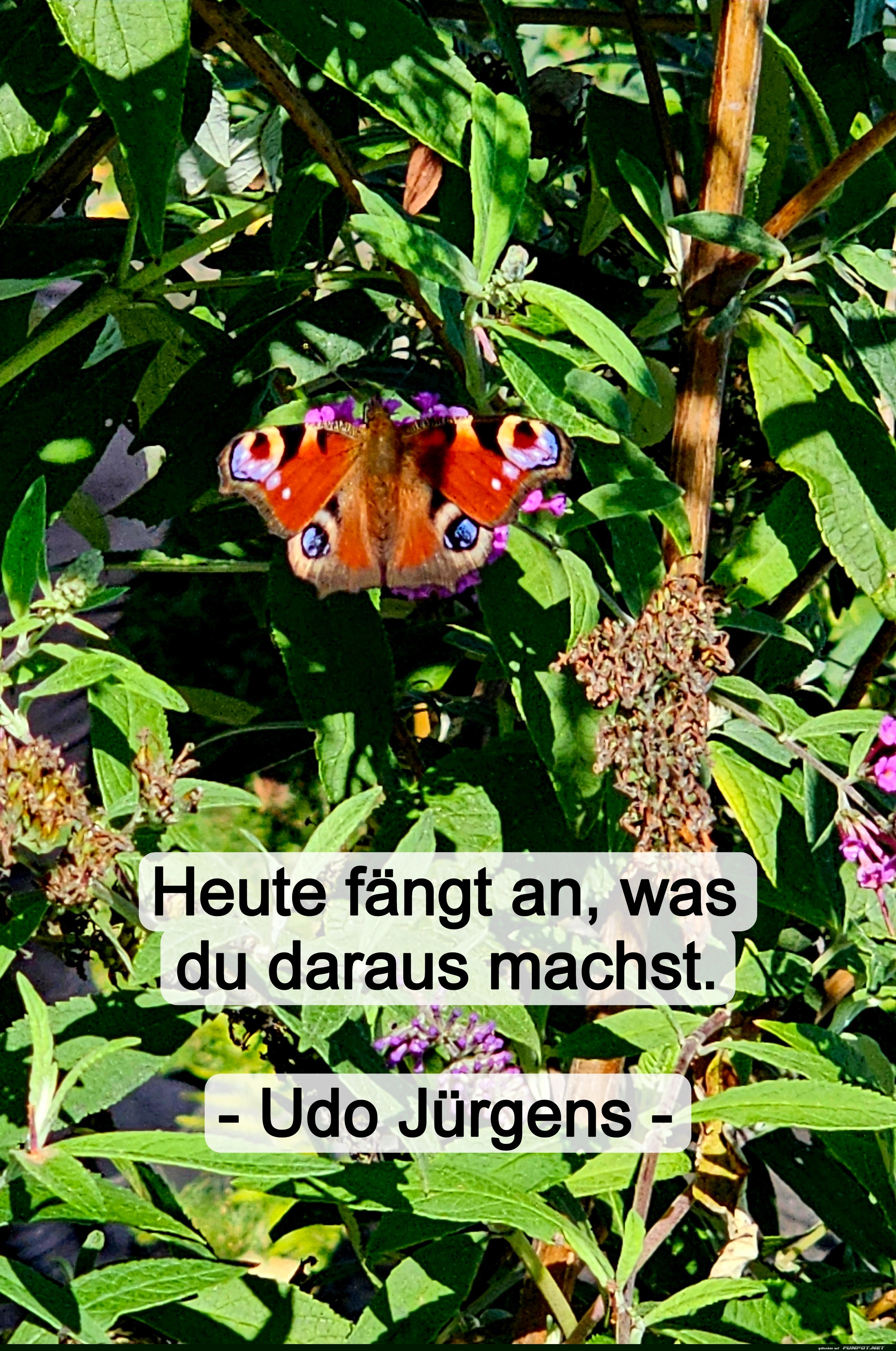 heute fängt an heute fängt an