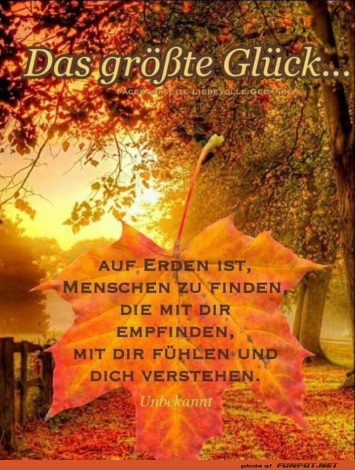 Das größte Glück Das größte Glück