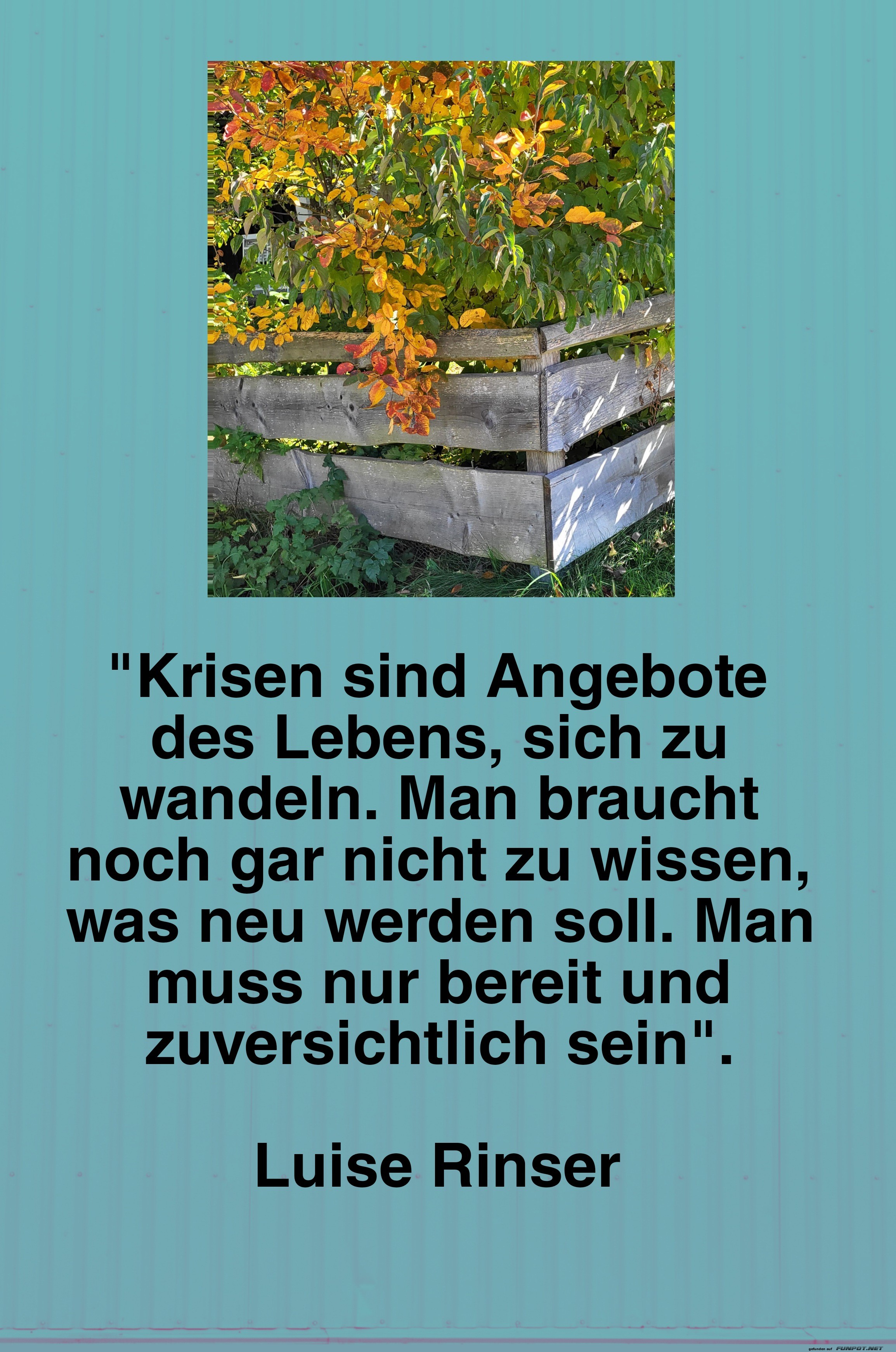 10 schne Sprche und Lebensweisheiten aus...
