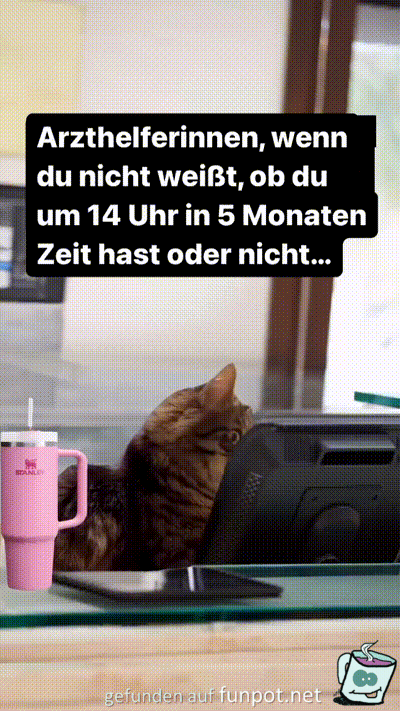 witzige animierte Bilder aus verschiedenen Blogs