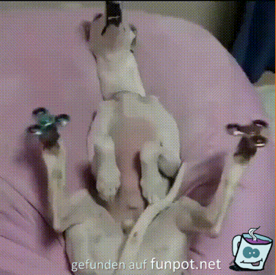 witzige animierte Bilder aus verschiedenen Blogs