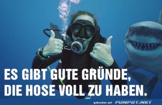 Gute Grnde