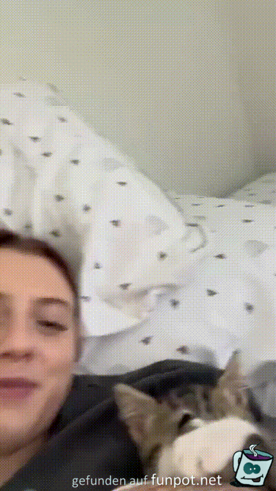 witzige animierte Bilder aus verschiedenen Blogs