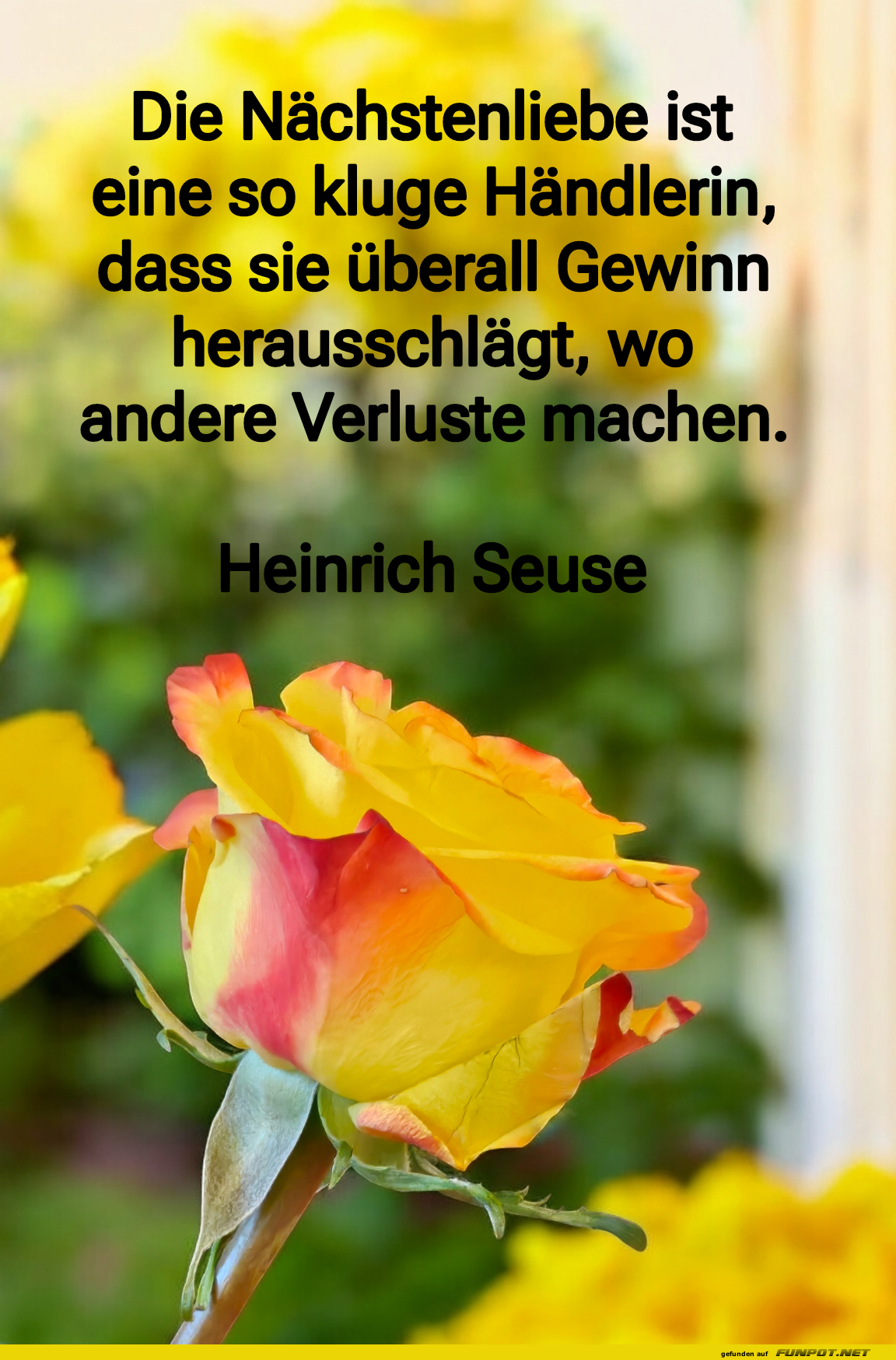 schne Sprche zur Liebe und Partnerschaft