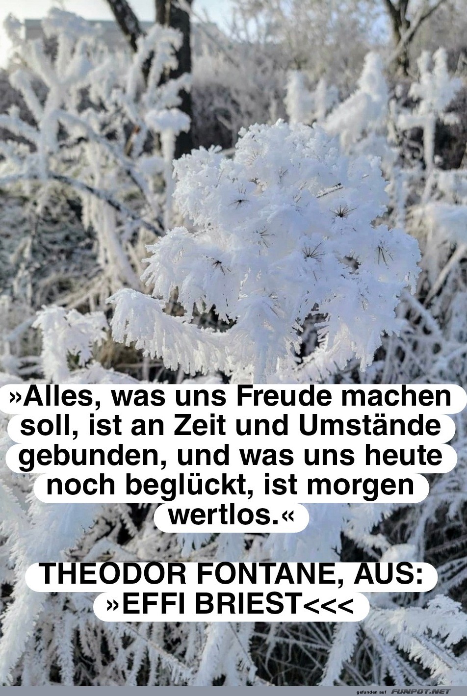 10 schne Sprche und Lebensweisheiten aus...
