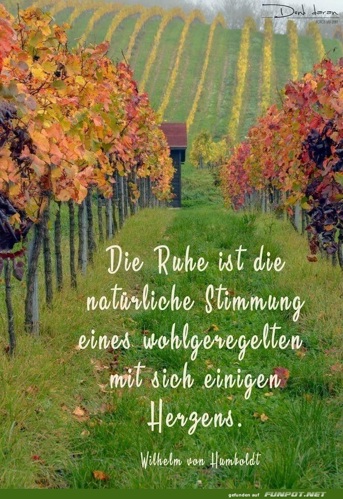 10 schne Sprche und Lebensweisheiten aus...