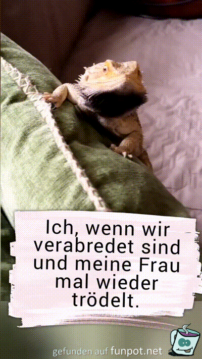 witzige animierte Bilder aus verschiedenen Blogs