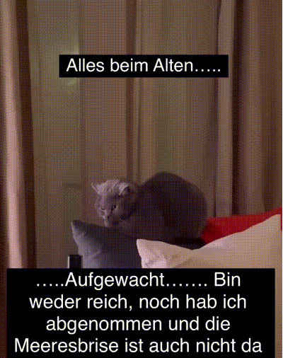 witzige animierte Bilder aus verschiedenen Blogs