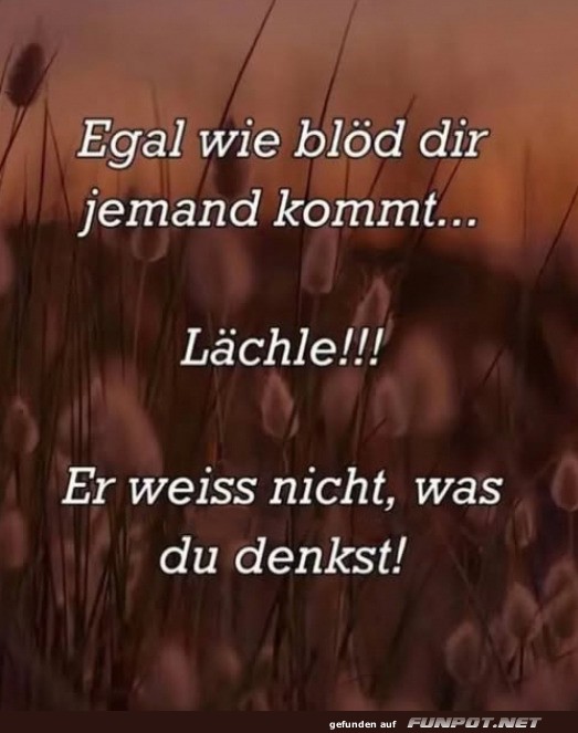 10 schne Sprche und Lebensweisheiten aus...