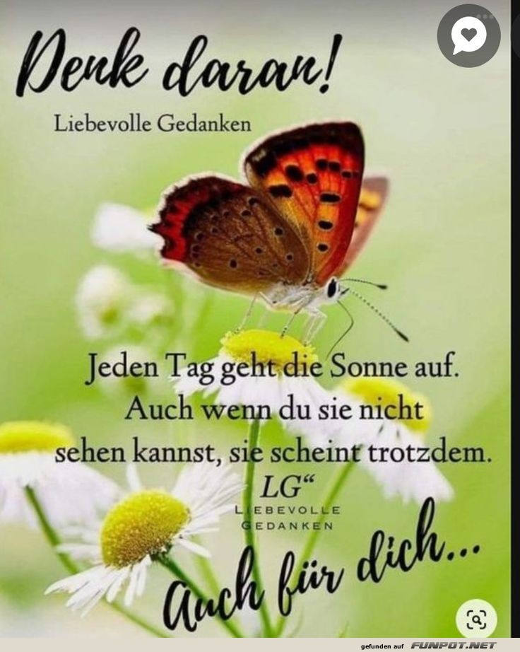 10 schne Sprche und Lebensweisheiten aus...