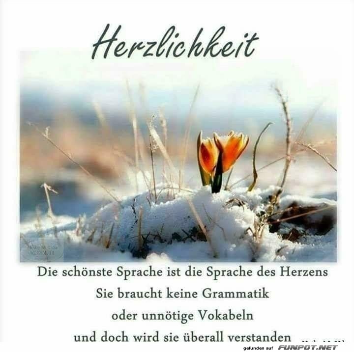 10 schne Sprche und Lebensweisheiten aus...