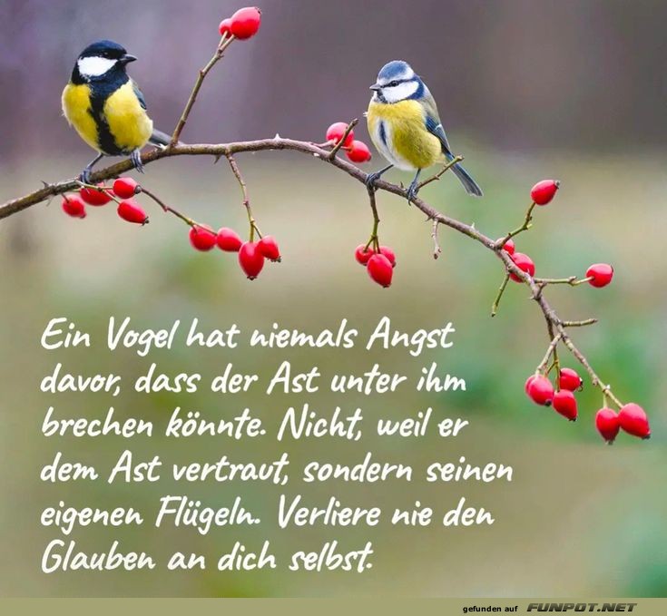 10 schne Sprche und Lebensweisheiten aus...
